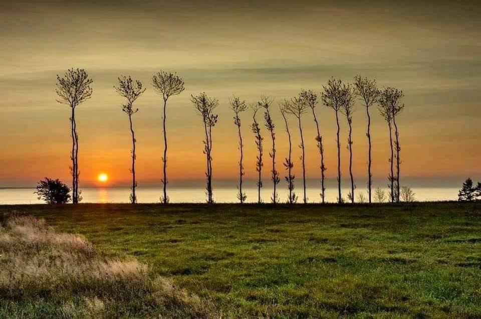 Domek Morski Swarzewo Esterno foto